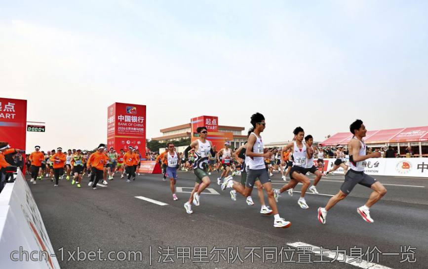 法甲里尔队不同位置主力身价一览