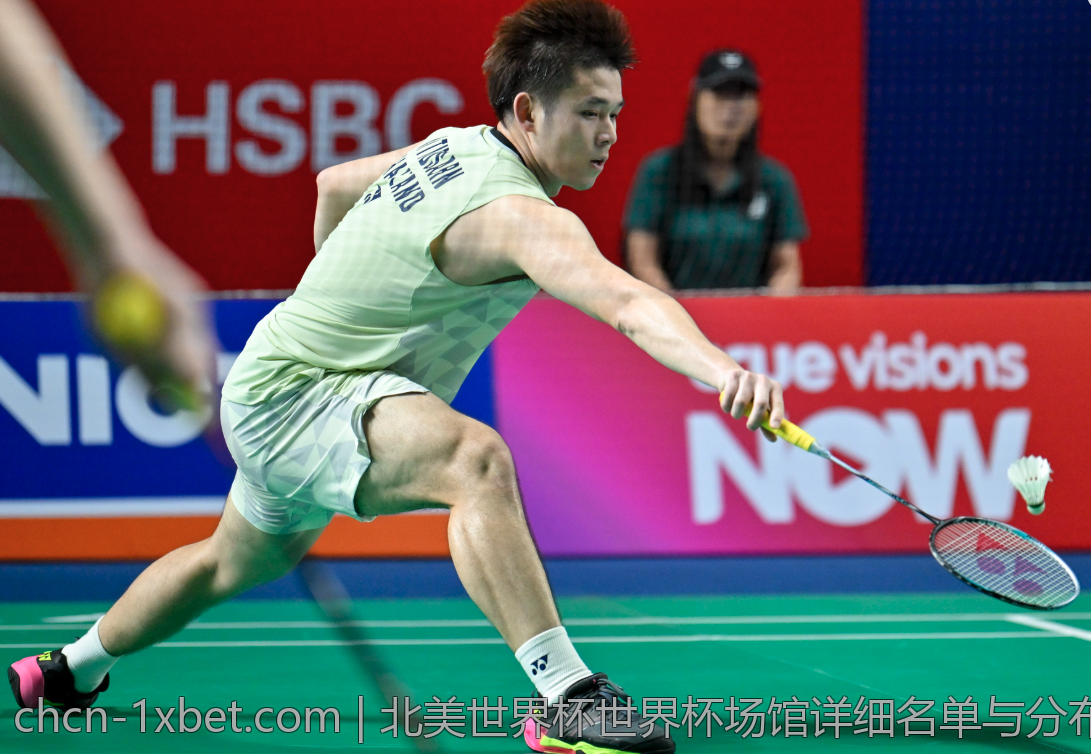 北美世界杯世界杯场馆详细名单与分布分析